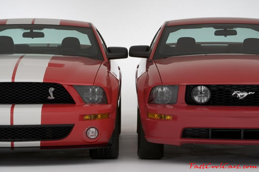 2006 - 2007 Shelby Cobra GT500, and a Mustang GT