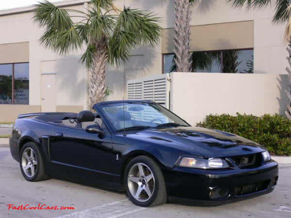 2003 SVT Cobra Convertible - 35,951 original Miles, 6 speed manual transmission, Black, black top, black interior, For Sale.