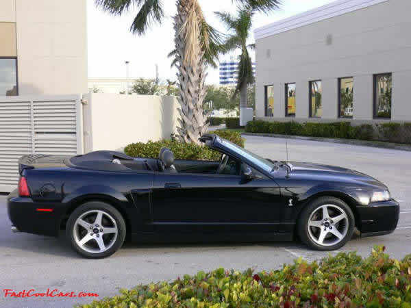 2003 SVT Cobra Convertible - 35,951 original Miles, 6 speed manual transmission, Black, black top, black interior, For Sale.