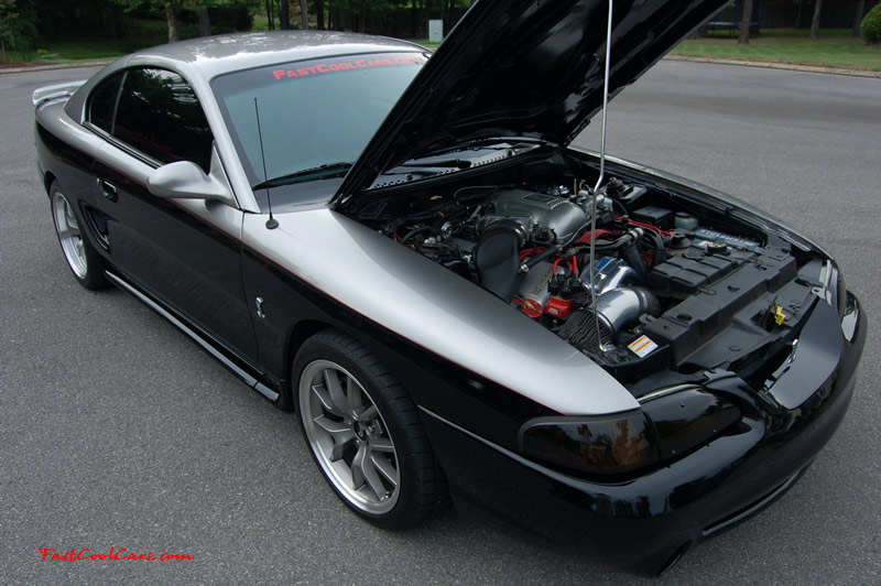 1998 polished Procharged Mustang Cobra, Custom paint,18" - FR500's