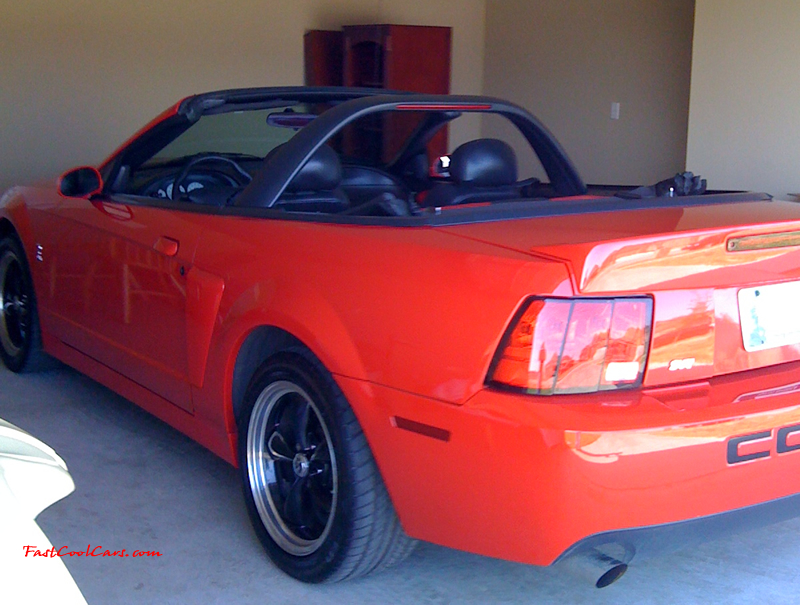 This is a 2003 10th anniversary Cobra, 6 speed manual, Supercharged