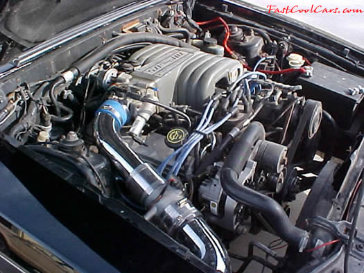 1991 Ford LX Mustang coupe - 5.0 H.O. - 5 Speed, MAC chrome cold air intake, with K&N air filter, crank under drive pulley