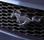 2005 Ford Mustang GT front grill and Mustang horse view