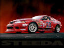 Steeda Racecar - Fast Cool Car