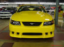Exotic cars on fast cool cars - High performance at its best, money and horsepower. Convertible Saleen Mustang, nice yellow paint job