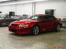 Exotic cars on fast cool cars - High performance at its best, money and horsepower. Convertible Saleen Mustang.