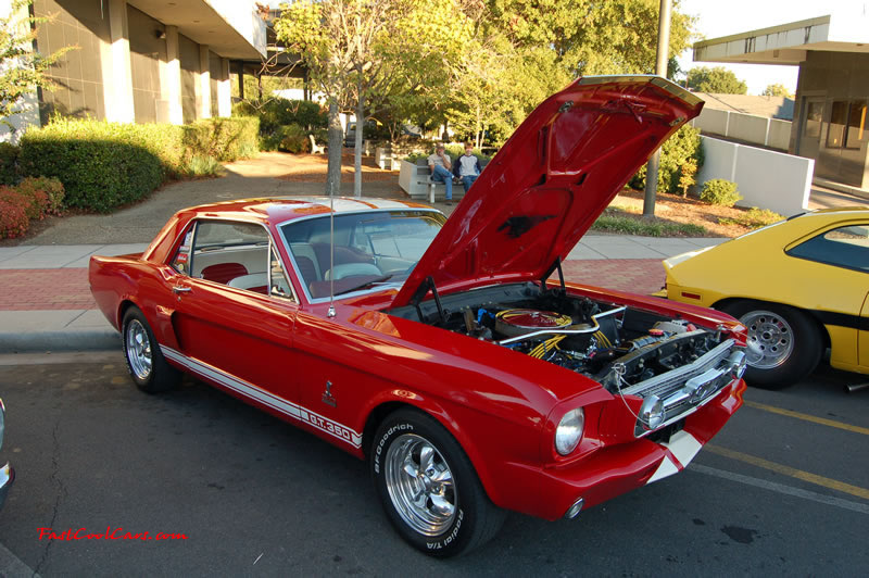 Dalton, GA - Cruise in, car show, Fast Cool Cars here on October 14 - Gt 350 Ford Mustang